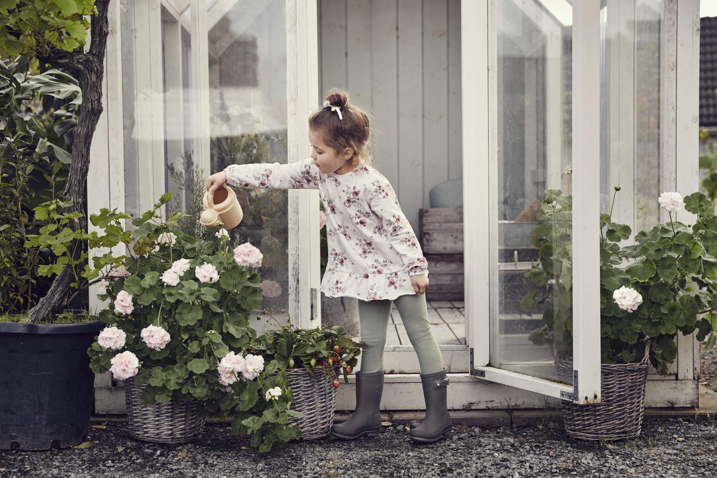 Seedlings & Sunshine with Newbie