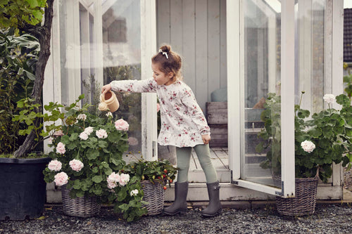 Seedlings & Sunshine with Newbie