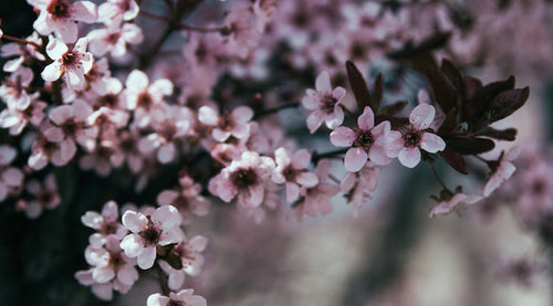 6 Questions with Sofia