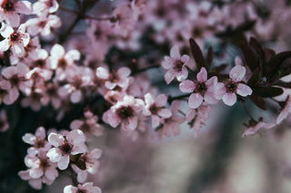 6 Questions with Sofia