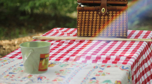 Summer Picnic Recipes