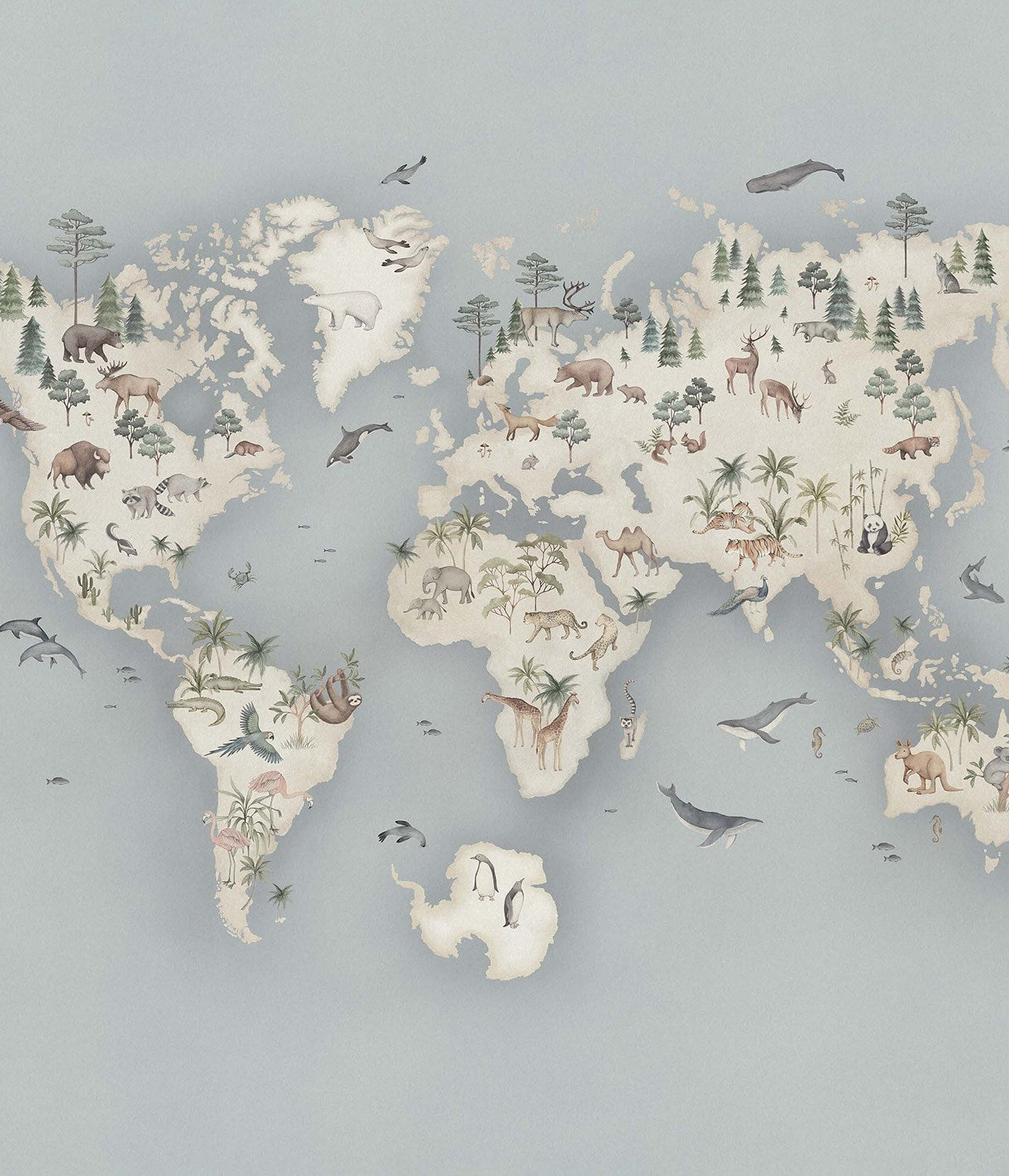 Little Explorer Mural blue wallpaper