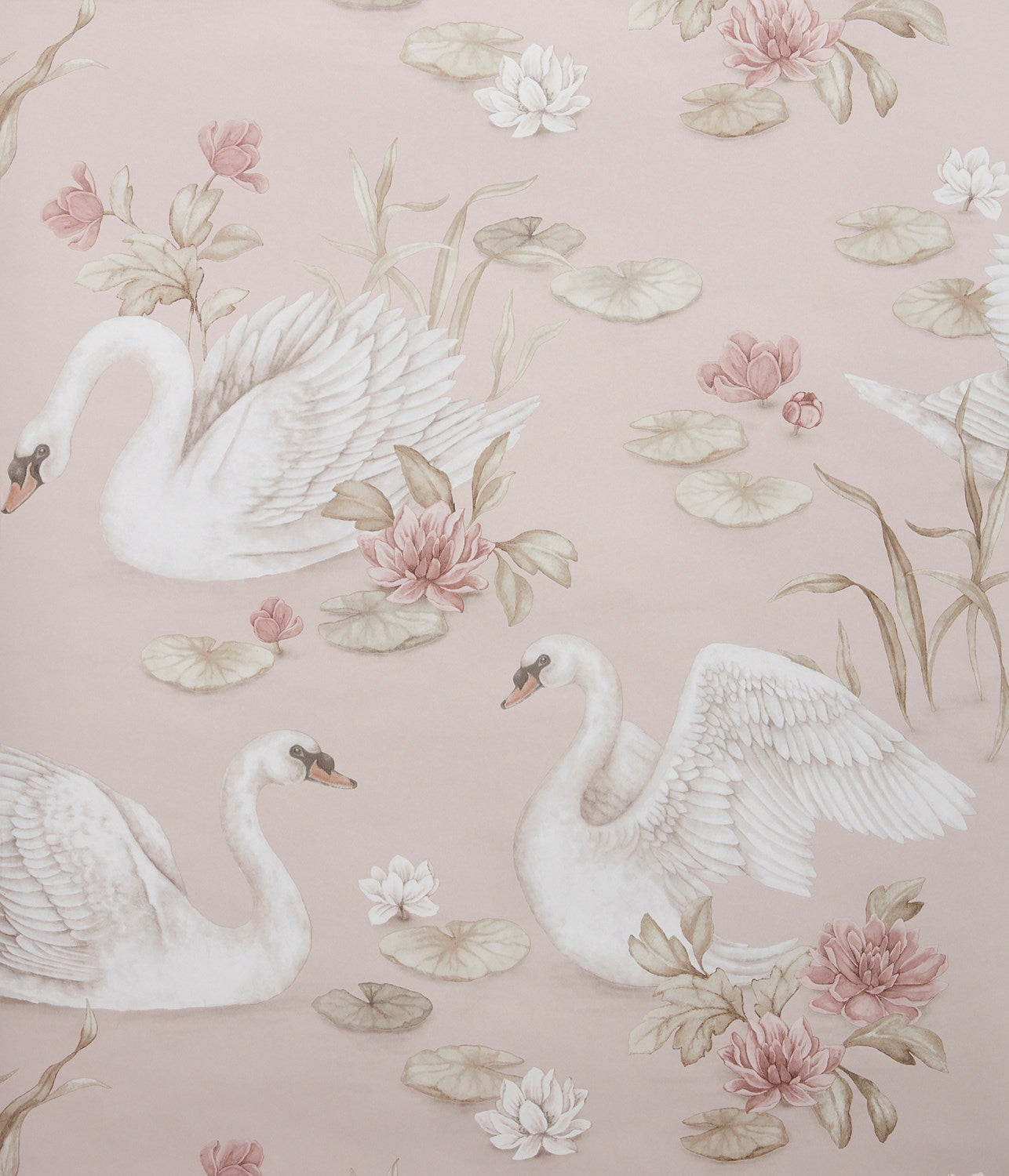 Lily swan pink wallpaper