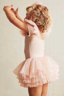 Baby & kids' pink ballerina mesh dress