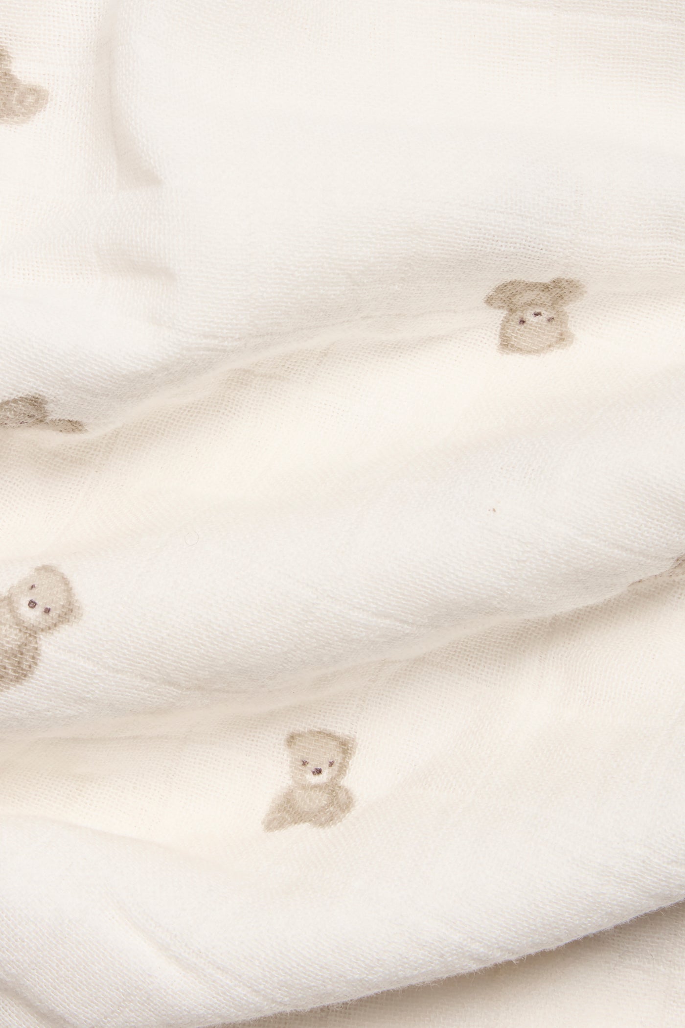 White teddy bear blanket