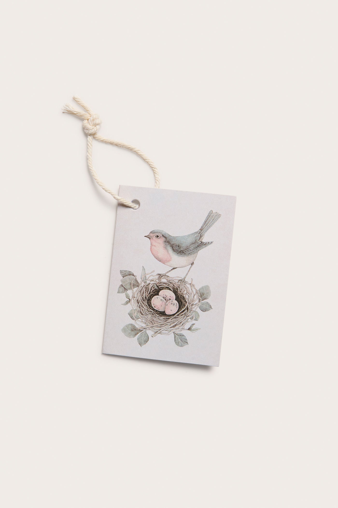 Gift card bird & bird's nest