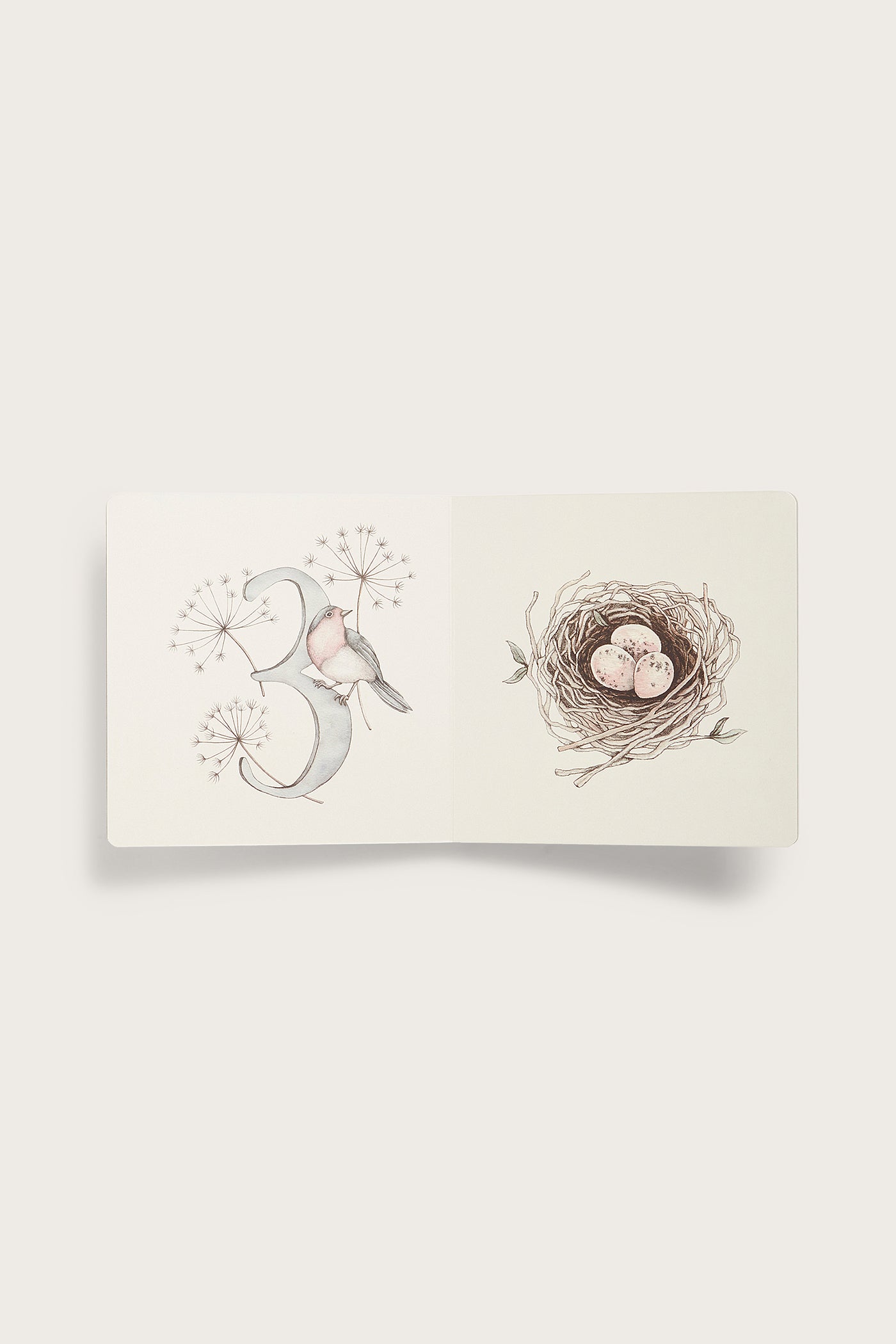 White animal and forest book