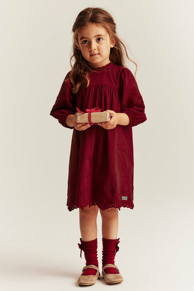 Kids red embroidered dress
