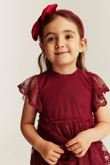 Baby & kids' red embroidered mesh dress