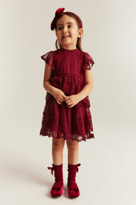 Baby & kids' red embroidered mesh dress