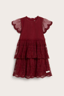 Baby & kids' red embroidered mesh dress