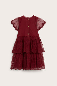 Baby & kids' red embroidered mesh dress