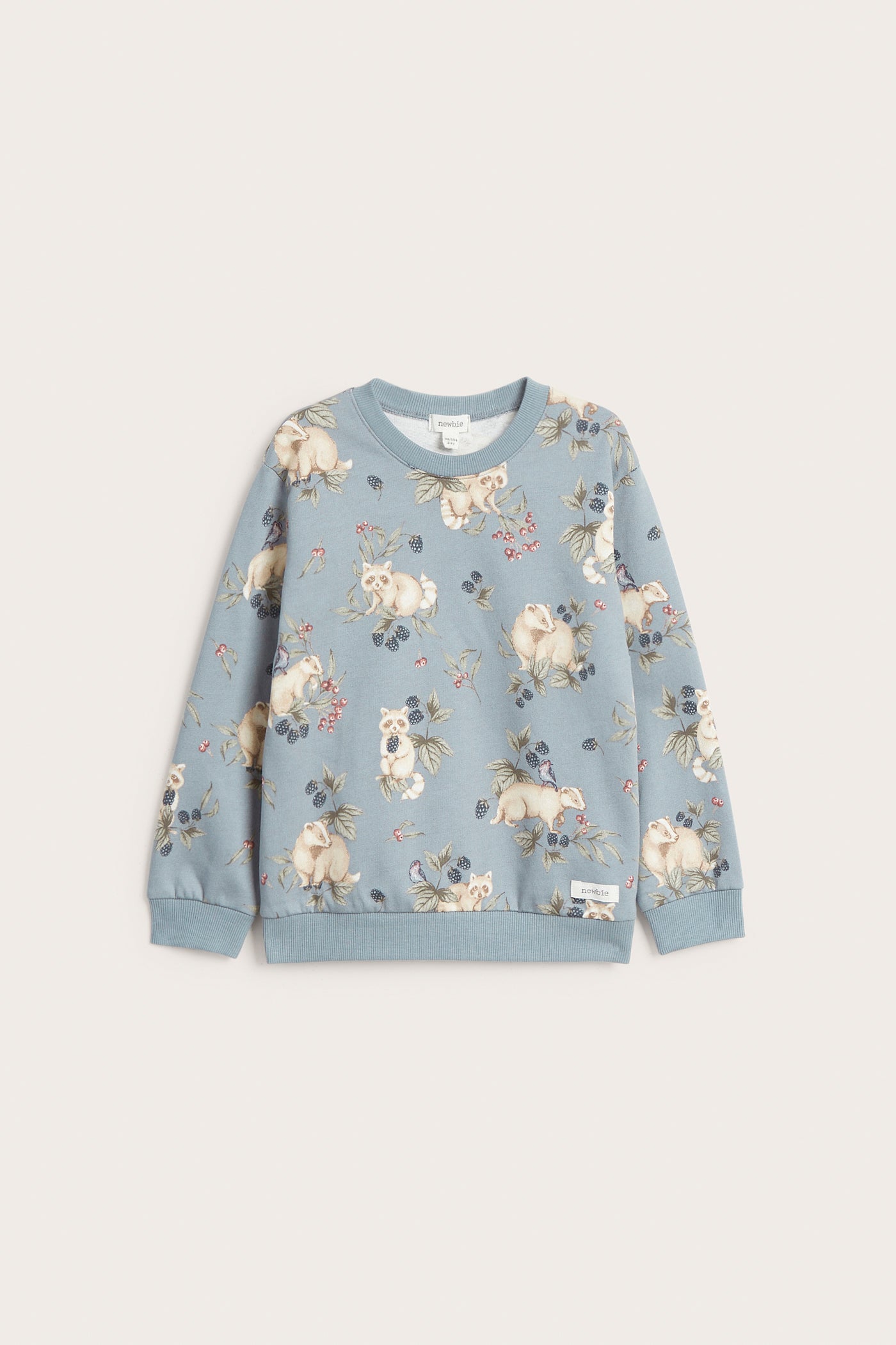 Kids' blue raccoon sweatshirt