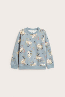 Kids' blue raccoon sweatshirt