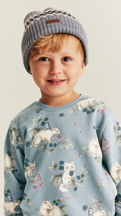 Kids' blue raccoon sweatshirt