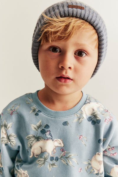 Kids' blue raccoon sweatshirt