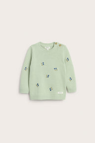 Baby green knitted jumper with blueberries