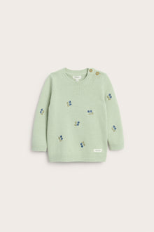 Baby green knitted jumper with blueberries