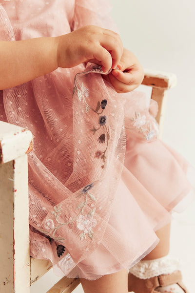 Baby pink mesh dress with ruffles