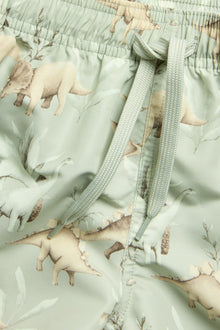 Baby & kids swimming trunks with dinosaurs