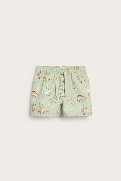 Baby & kids green swimming trunks with dinosaurs