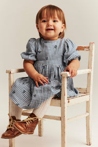 Baby blue checked dress with blueberries