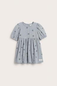 Baby blue checked dress with blueberries