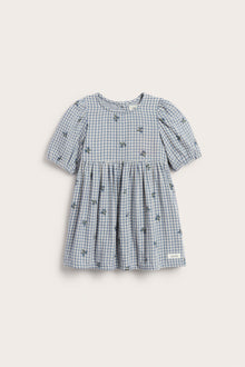 Baby blue checked dress with blueberries
