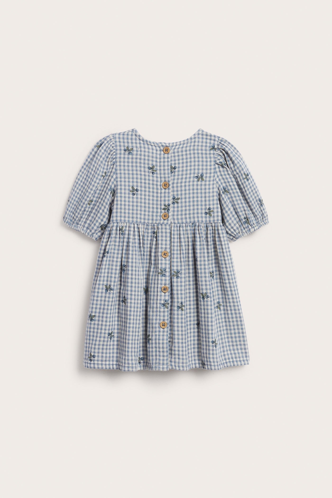 Baby blue checked dress with blueberries