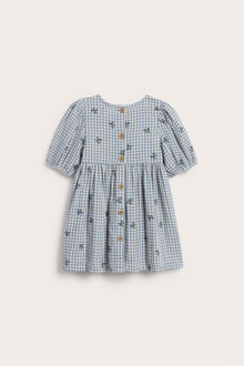 Baby blue checked dress with blueberries