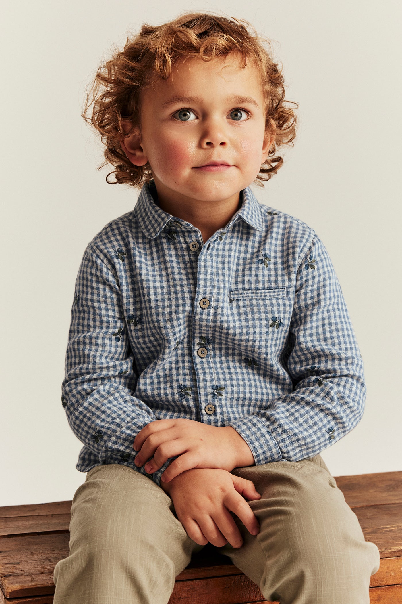 Kids’ blue checked shirt with blueberries