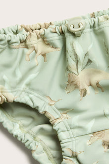 Baby green swim bottoms with dinosaur print