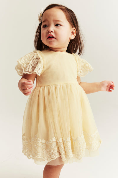 Baby yellow mesh dress with embroidery