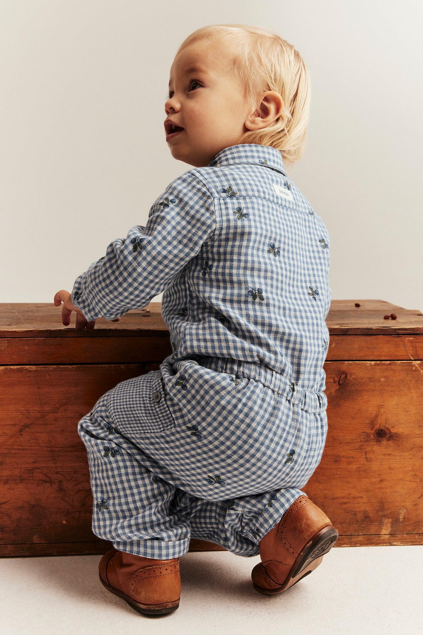 Baby blue checked trousers with blueberries