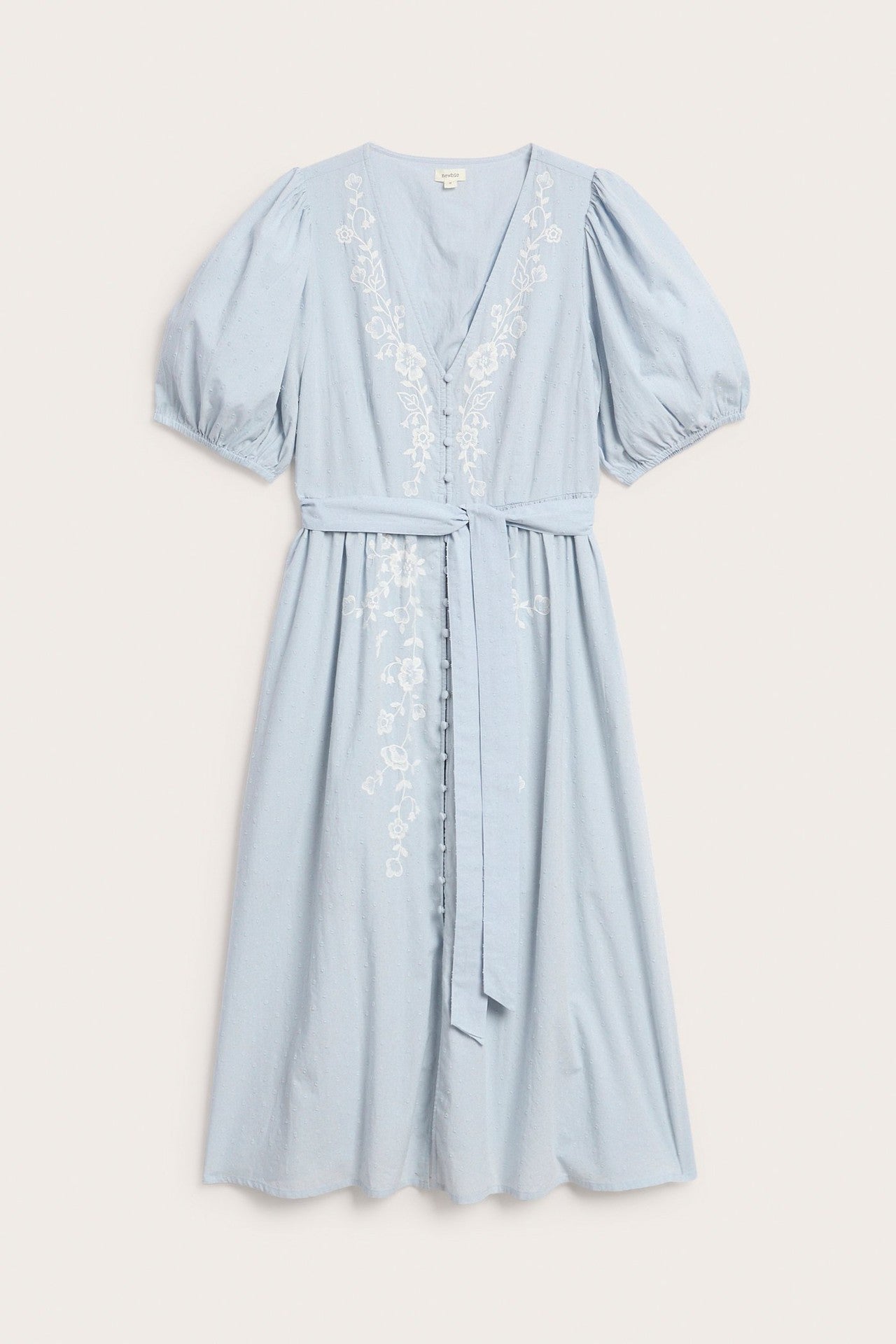 Women's blue embroidered dress