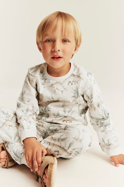 Kids sweatpants with dinosaurs