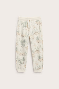 Kids sweatpants with dinosaurs