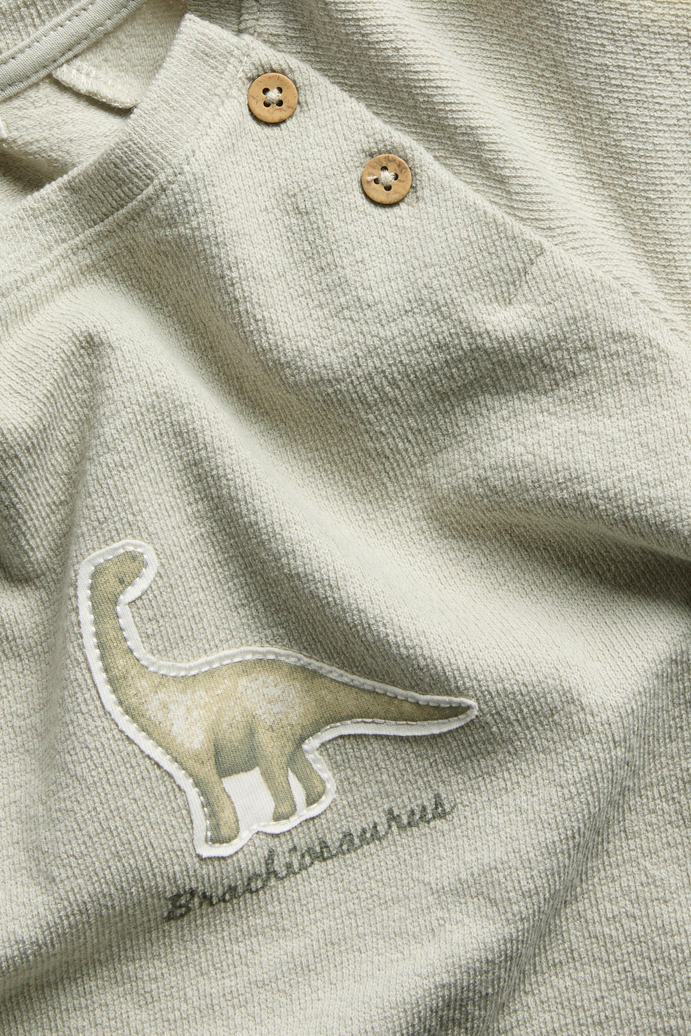 Kids green long sleeve dinosaur top
