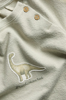 Kids green long sleeve dinosaur top