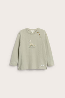 Kids green long sleeve dinosaur top