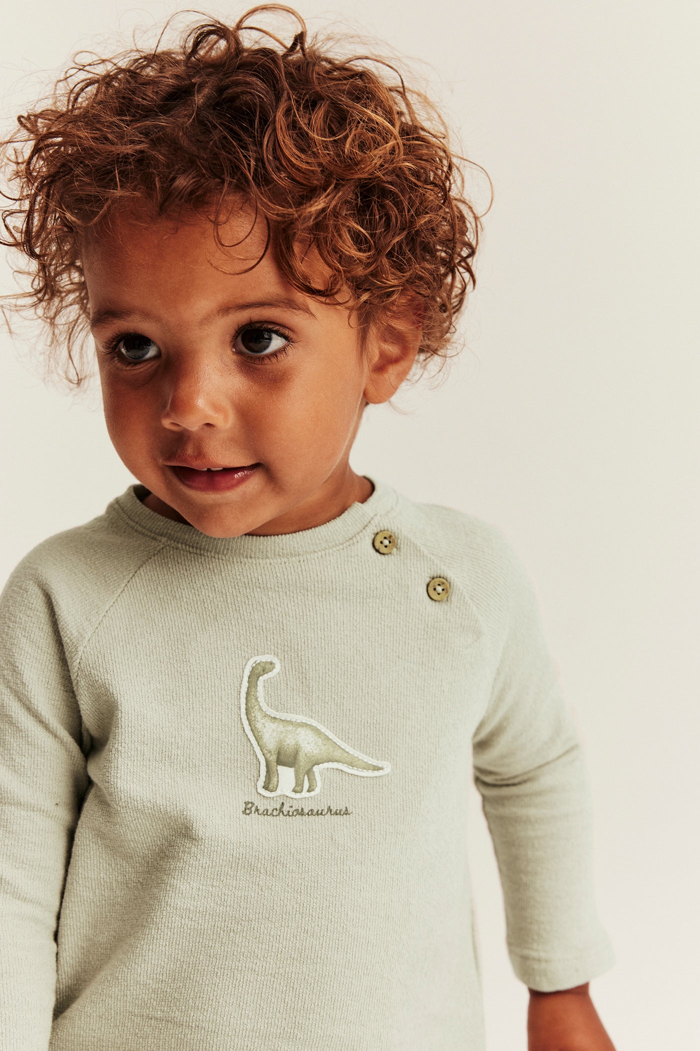 Baby green long sleeve dinosaur top