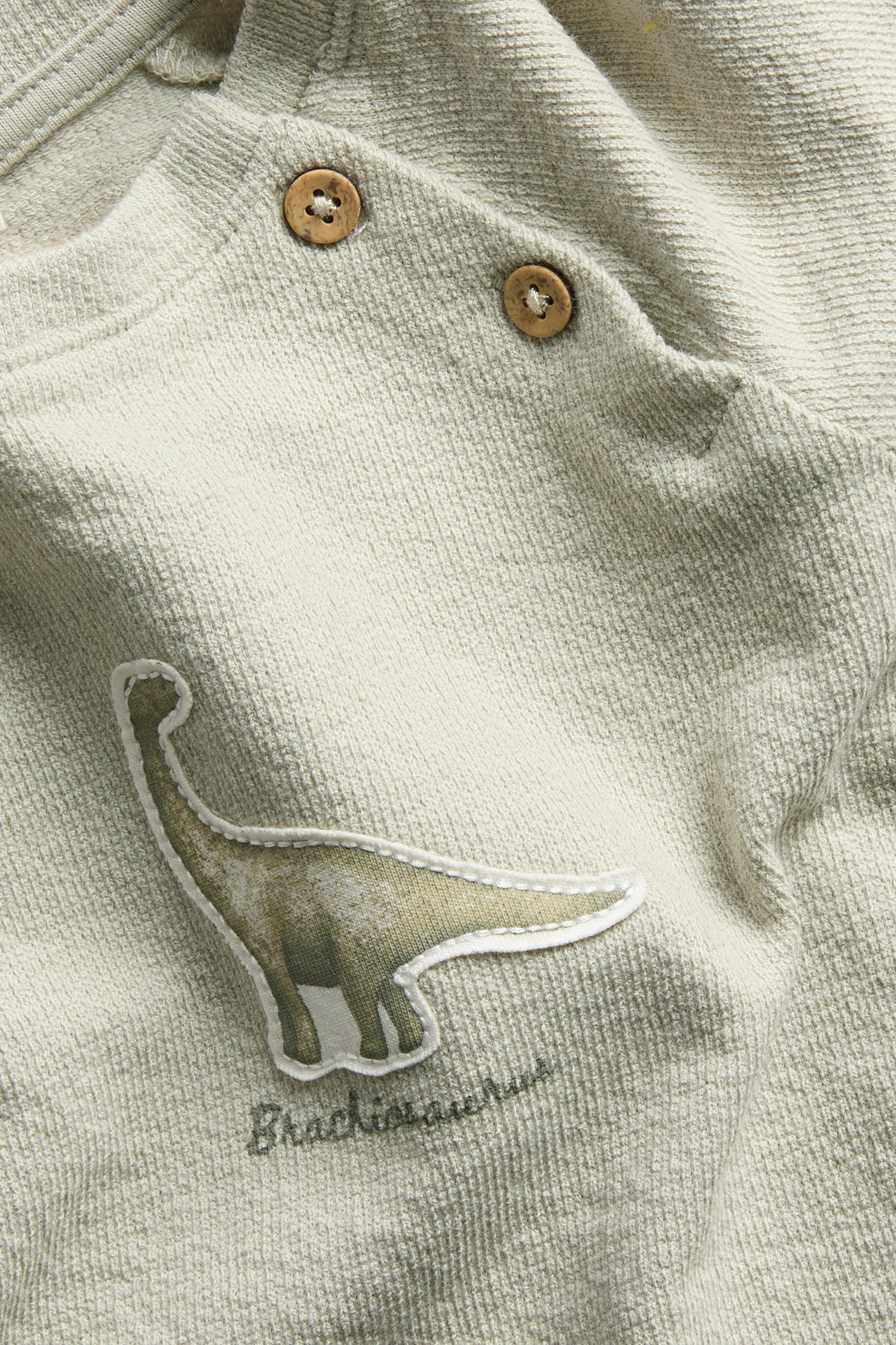 Baby green long sleeve dinosaur top