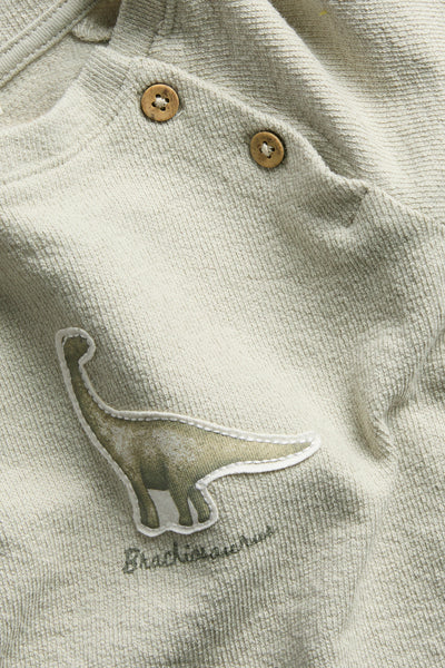 Baby green long sleeve dinosaur top