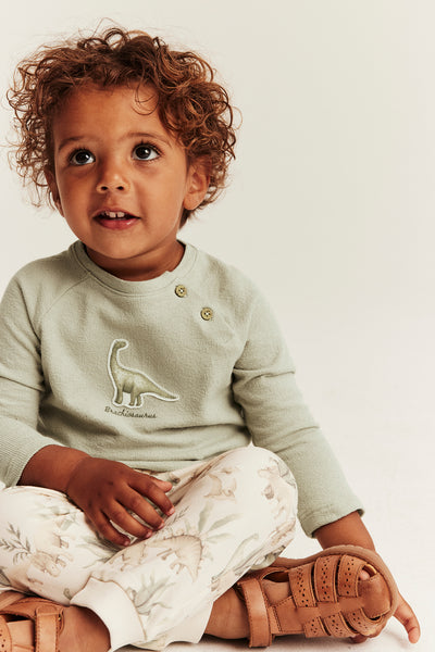 Baby green long sleeve dinosaur top