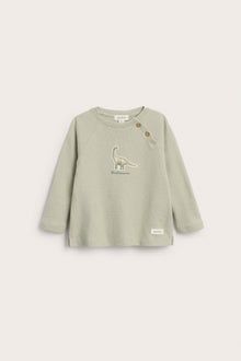 Baby green long sleeve dinosaur top