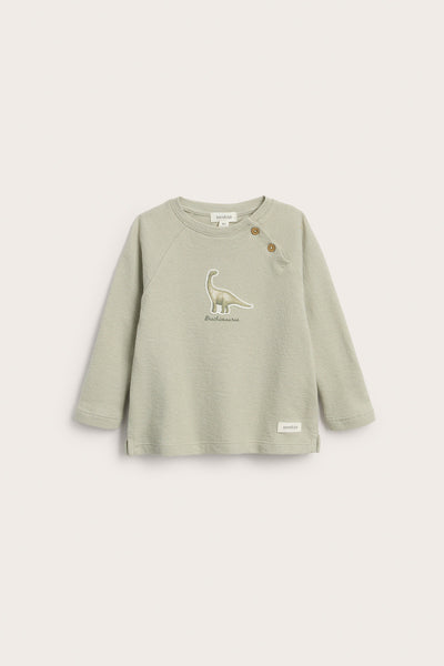 Baby green long sleeve dinosaur top