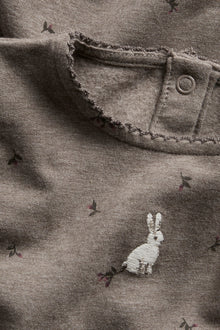 Baby brown long-sleeved dress with rabbit