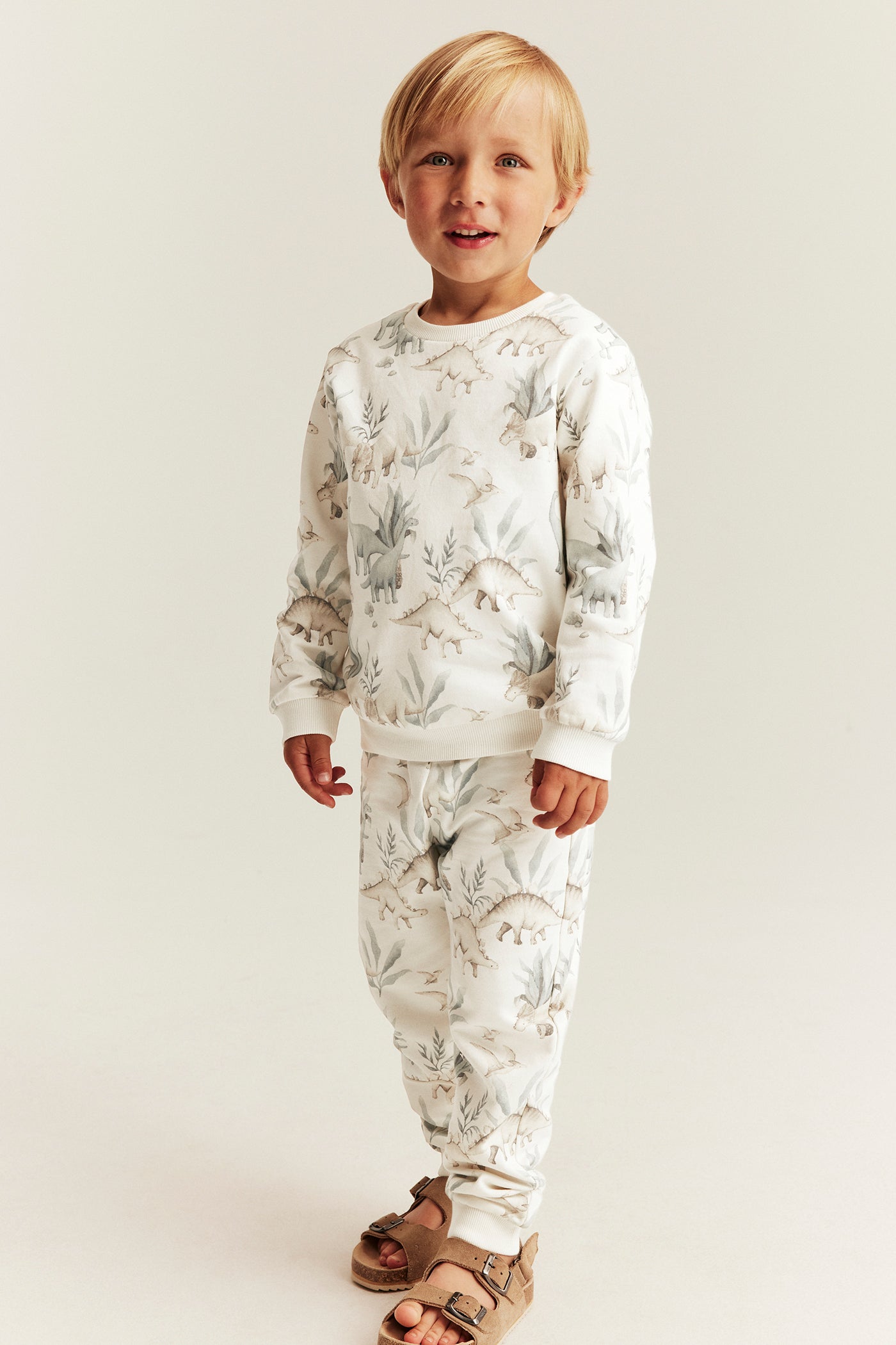 Baby & kids sweatshirt dinosaur print