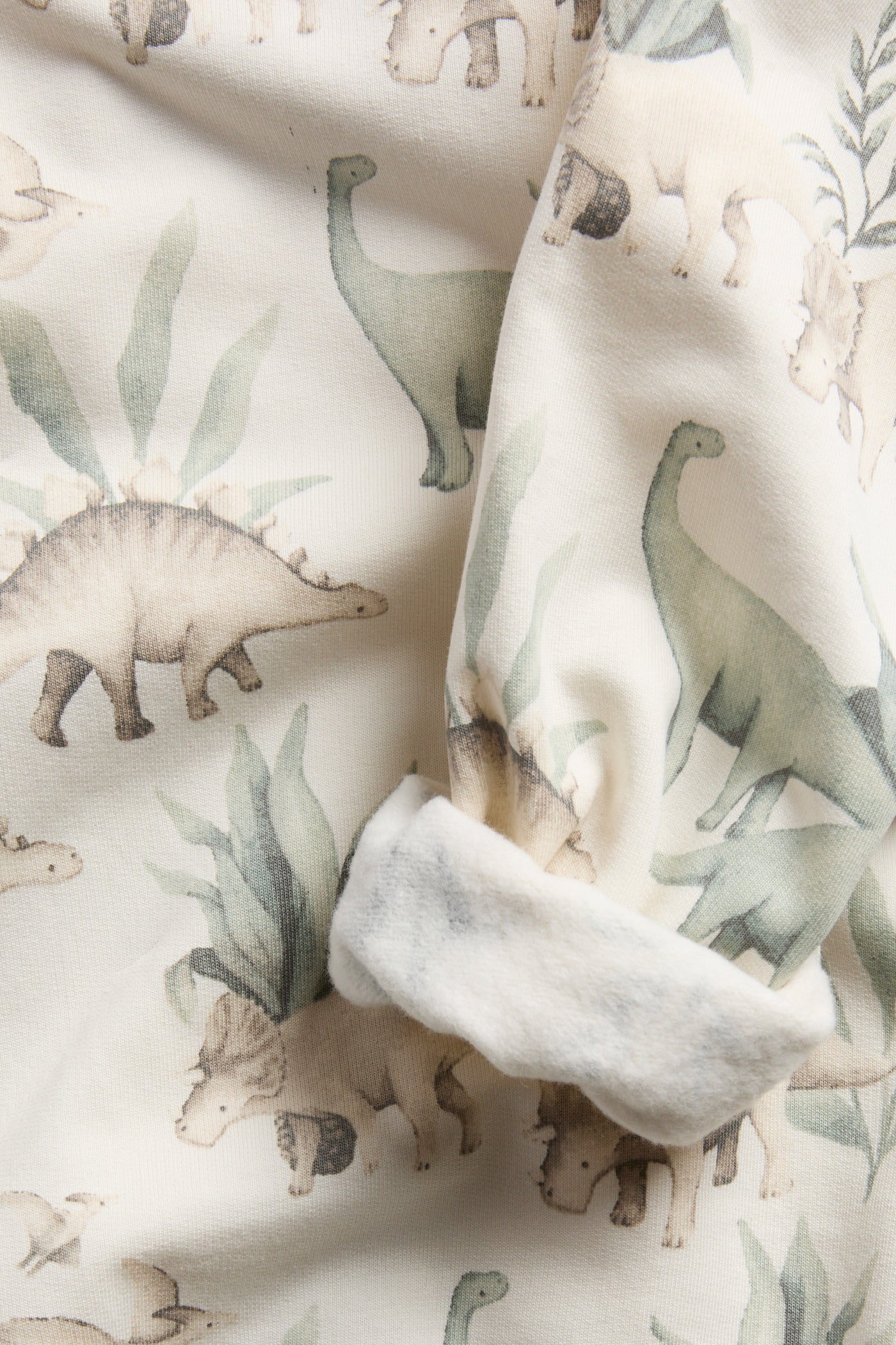 Baby & kids sweatshirt dinosaur print