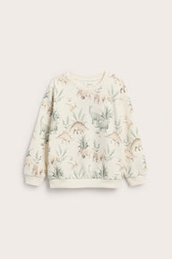Baby & kids sweatshirt dinosaur print